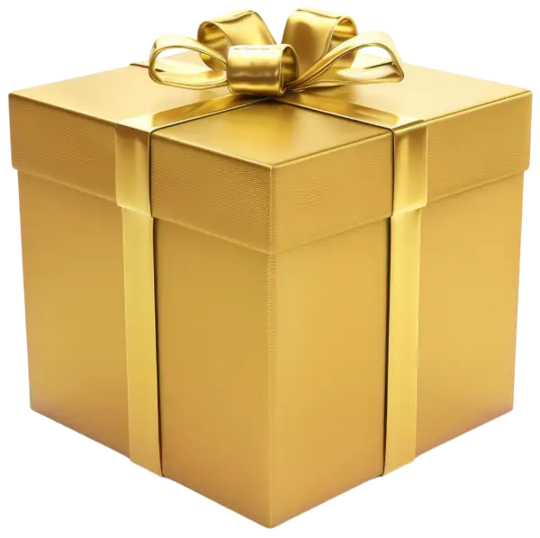 Christmas gift